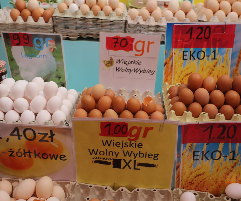Księżycowe jaja 5 zł za sztukę. „Te kury słuchają muzyki klasycznej”