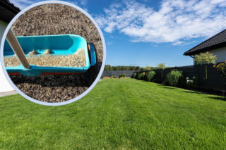 Wiosna to dobry czas na zakładanie trawnika z siewu. Jak to zrobić krok po kroku?