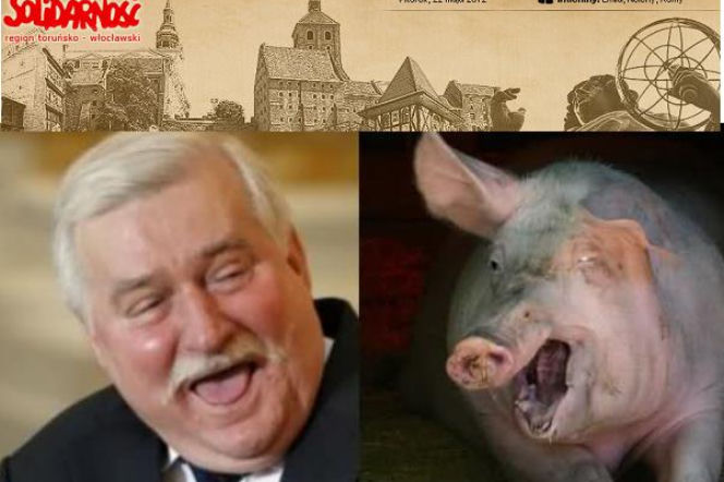 Lech Wałęsa jak świnia. Solidarność atakuje Wałęsę