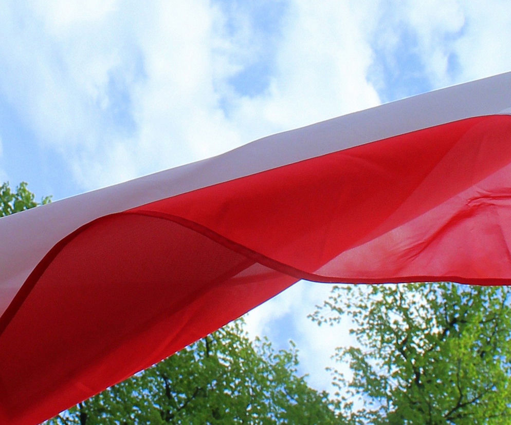 Święto Narodowe Trzeciego Maja 2020: Jak obchodzić w obliczu koronawirusa?