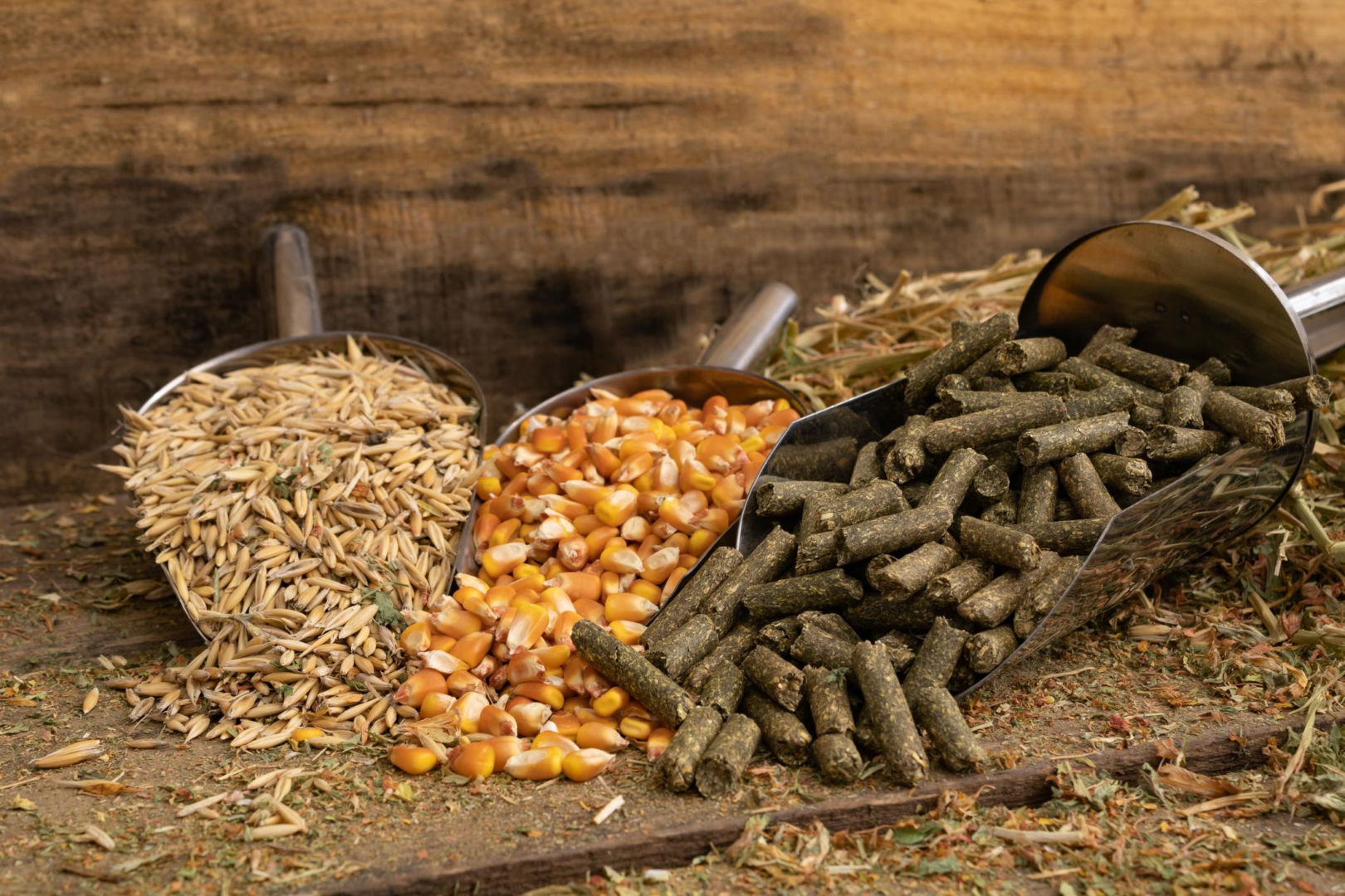 Pellet kukurydza, owies