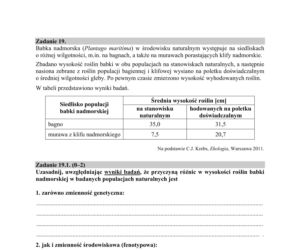 Matura 2019 z biologii [ARKUSZE CKE, ODPOWIEDZI]