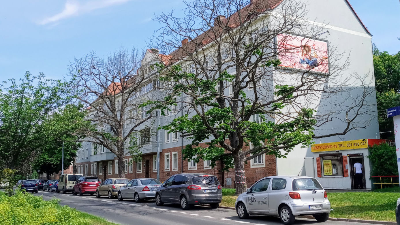 Okazałe drzewa na Turzynie poszły pod topór