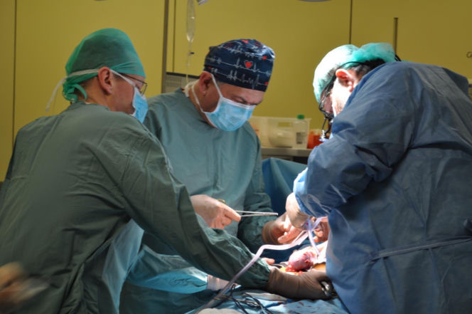 60 lat od pierwszego takiego zabiegu w Polsce. Dziś lekarze biją rekordy. „Decyzja była dla mnie oczywista”