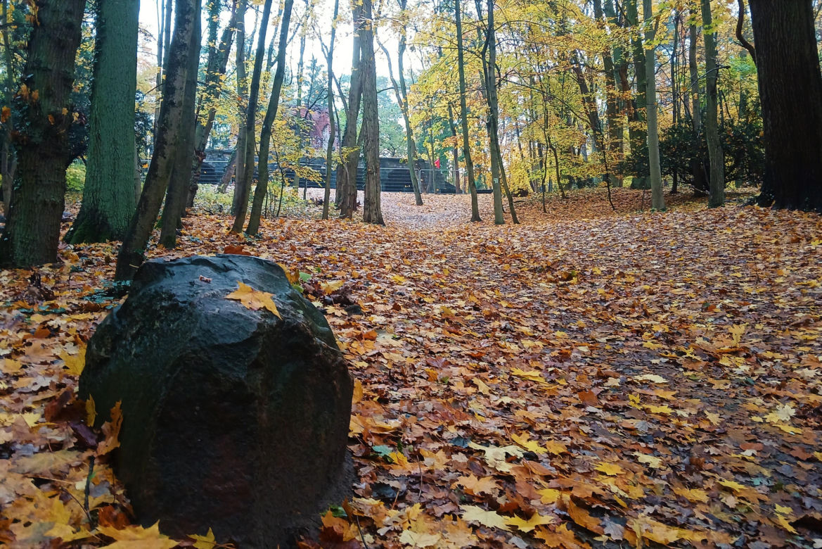 Porządkowanie terenu wokół wieży Quistorpa