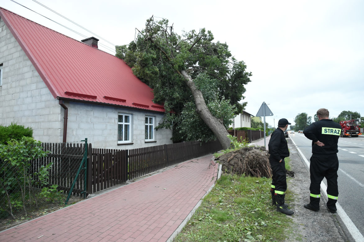 Skutki nawałnicy w okolicy Suszka