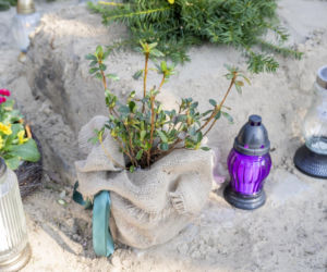 Tak wygląda grób Bożeny Dykiel