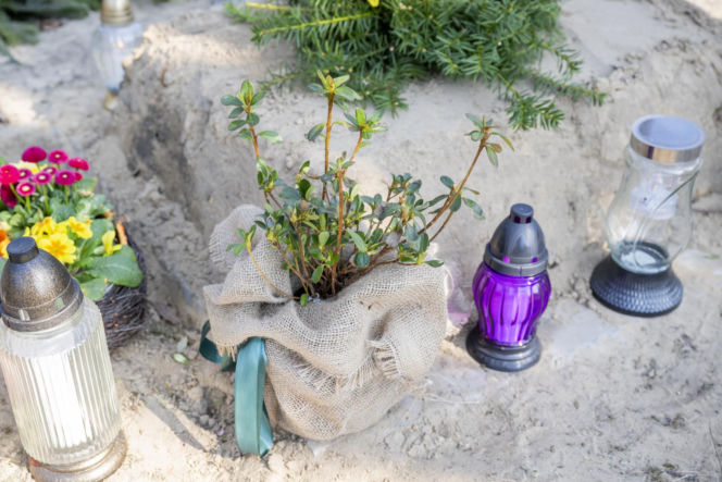 Tak wygląda grób Bożeny Dykiel