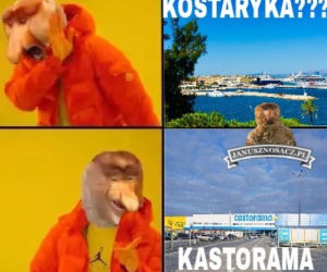 Urlop: memy