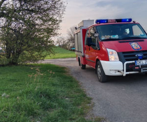 Kudowa-Zdrój. 9-letnia Zosia zginęła pod kołami jeepa. Na miejscu został tylko biały miś i znicze [ZDJĘCIA]