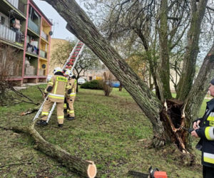Interwencje Strażaków przy likwidacji szkód spowodowanych przez gwałtowny wiatr i burze