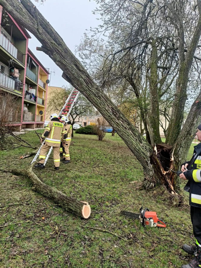 Interwencje Strażaków przy likwidacji szkód spowodowanych przez gwałtowny wiatr i burze