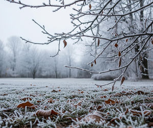 Pogoda w Białymstoku 19.11.2025. Czy mróz uderzy jeszcze dziś?!