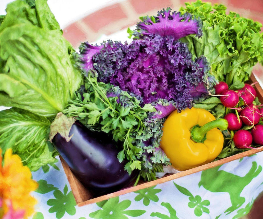 Niepełnosprawni z Nawojowej uruchomią własny sklep warzywny 