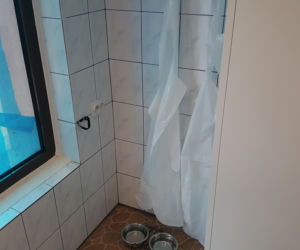 Samoobsługowa Myjnia dla Psów w Sosnowcu