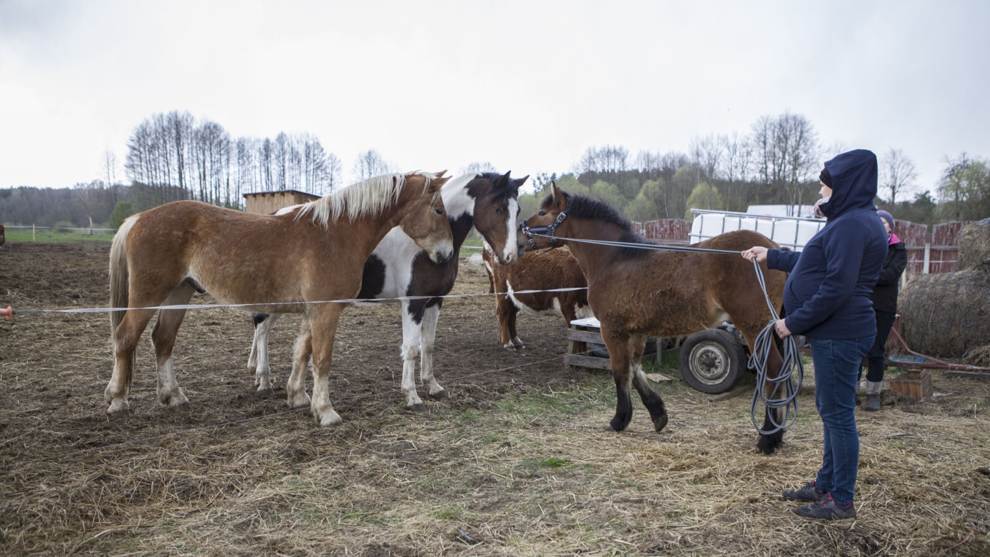 Rolnicy. Podlasie. Emilia Korolczuk i jej Ranczo Laszki