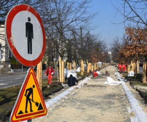Spore zmiany na Alei Ossolińskich w Bydgoszczy. Będzie ścieżka rowerowa