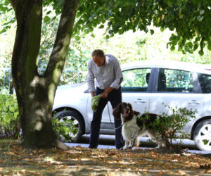 Tusk sprząta po psie