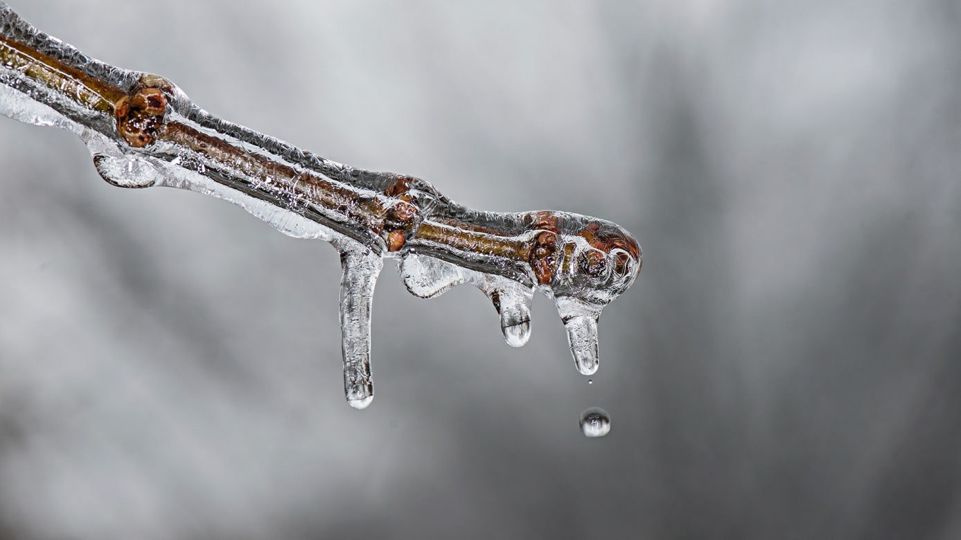 Najniższa temperatura powietrza