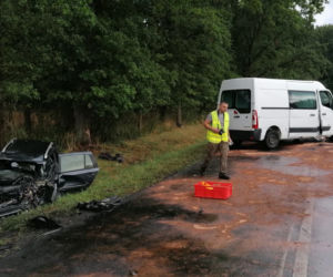 Siedem osób rannych, lądowały trzy śmigłowce. Wypadek pod Lesznem