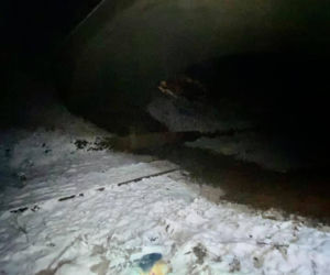 Zrzucili pięknego pieska z mostu, zginął w męczarniach. Trwają poszukiwania bestii! [FOTO]