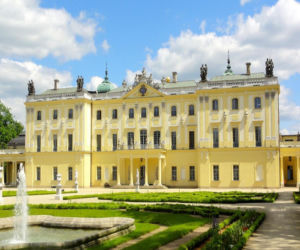 Gdzie Polacy piją najwięcej? Zatrważające dane o sprzedaży małpek