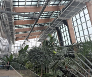 Egzotarium w Sosnowcu