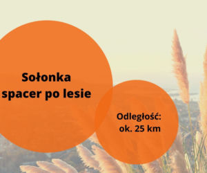Majówka 2022: Gdzie na szybka wycieczkę z Rzeszowa? Ciekawe atrakcje 