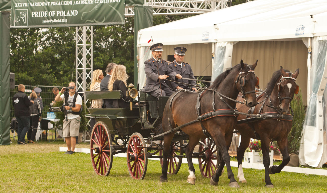 Pride of Poland 2016 w Janowie Podlaskim. 