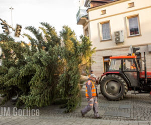Gorlice: Na rynku już stoi choinka. Jest piękna. MUSISZ ją zobaczyć