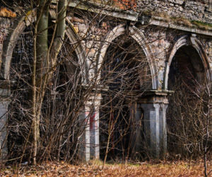 Ruiny Pałacu w Podzamczu Piekoszowskim