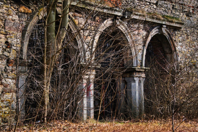 Ruiny Pałacu w Podzamczu Piekoszowskim