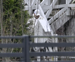 Prawdziwe paparazzi Rozenków nad morzem