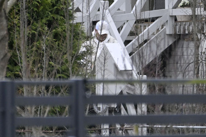 Prawdziwe paparazzi Rozenków nad morzem