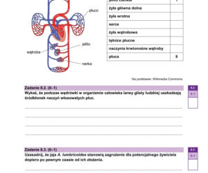 Matura próbna 2026 - biologia. Wszystkie odpowiedzi do arkusza CKE z biologii 14.01.2026