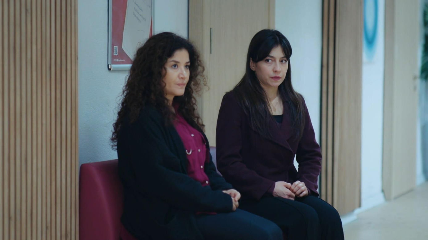 Dziedzictwo, odc. 992. Cansel, Sibel