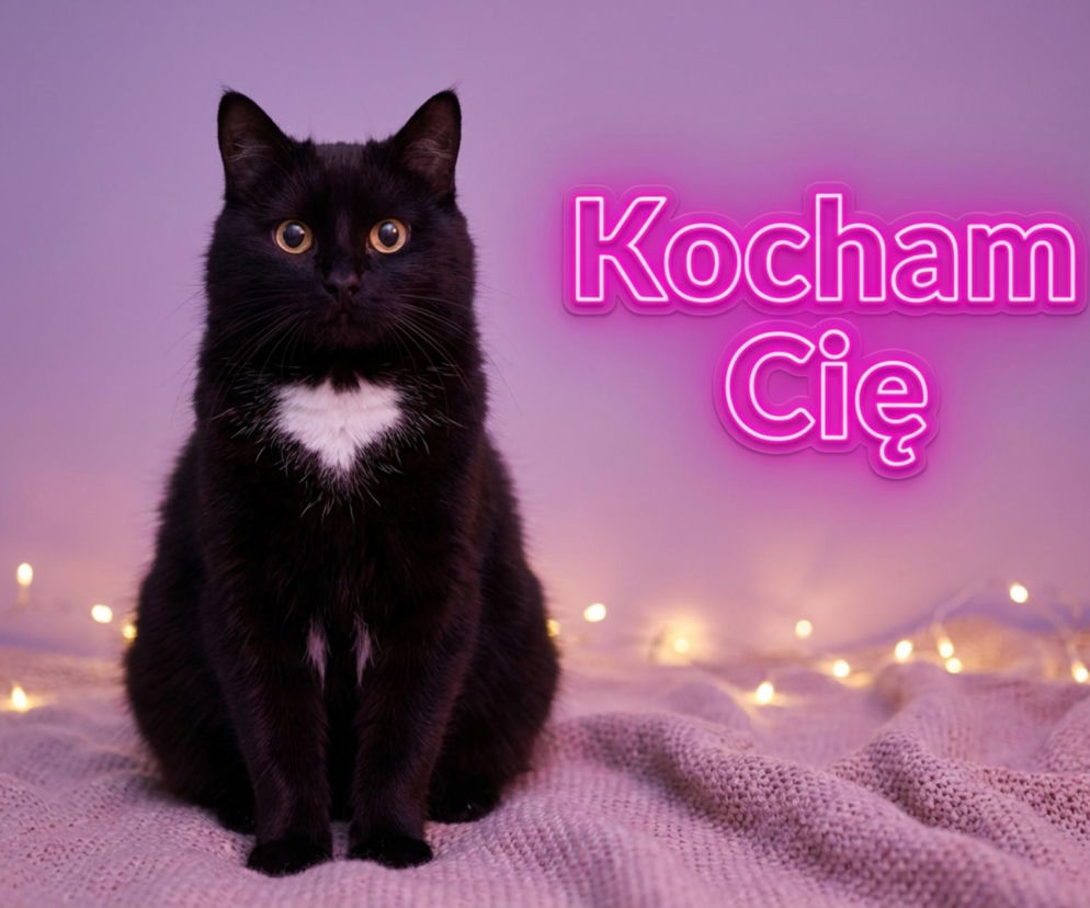 Kartki na Walentynki pełne ciepła i humoru