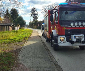 Ojciec całą noc szukał zaginionego syna. Rano dokonał przerażającego odkrycia w potoku