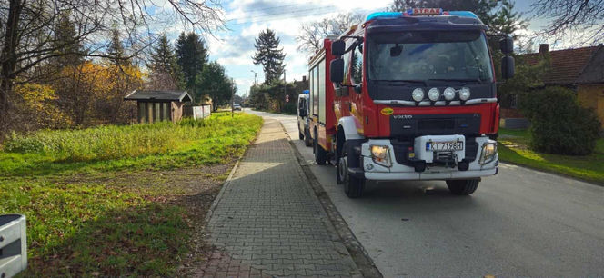 Ojciec całą noc szukał zaginionego syna. Rano dokonał przerażającego odkrycia w potoku