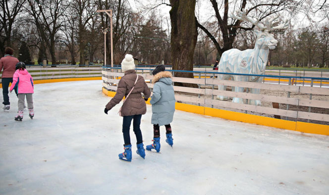 Lodowisko w Parku Jordana w Krakowie