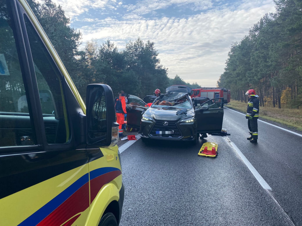 Poważny wypadek z udziałem jelenia pod Toruniem! W internecie rozgorzała burza [ZDJĘCIA]