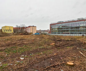 Przy ulicy Janosika wycięto dziesiątki drzew