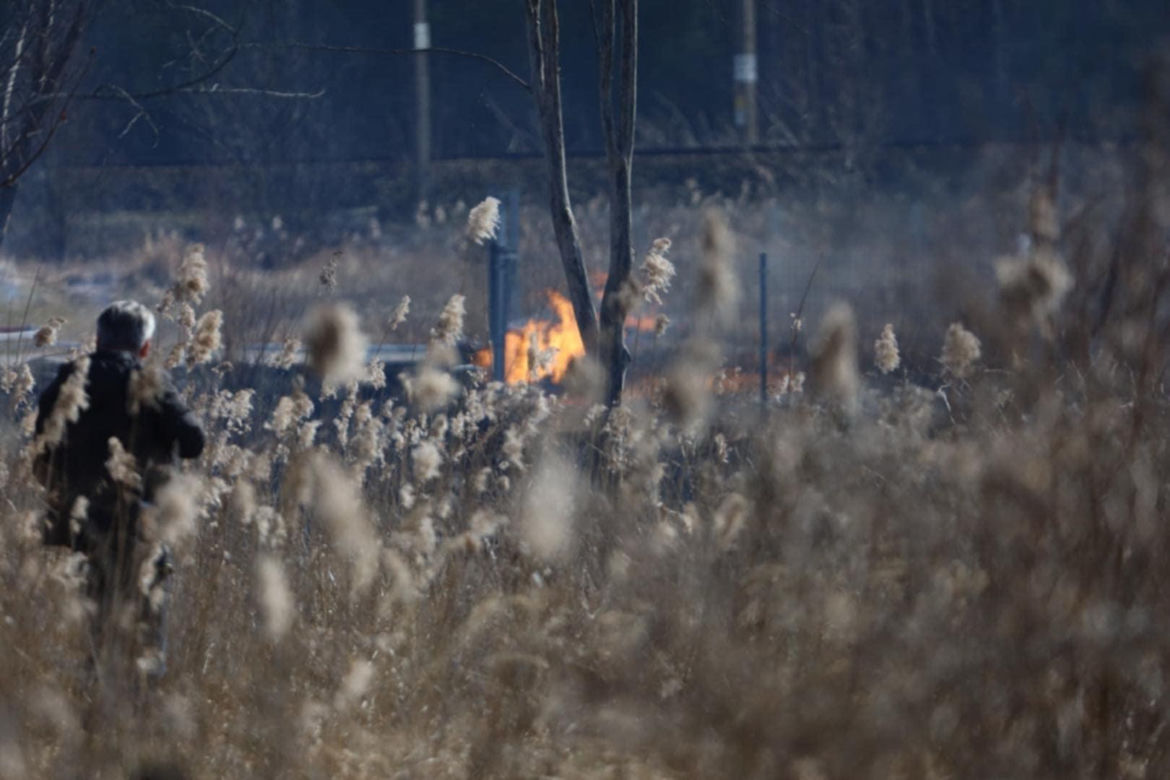 Pożar w Lubajnach pod Ostródą! Ogień zagraża schronisku dla zwierząt. Psy ewakuowane!
