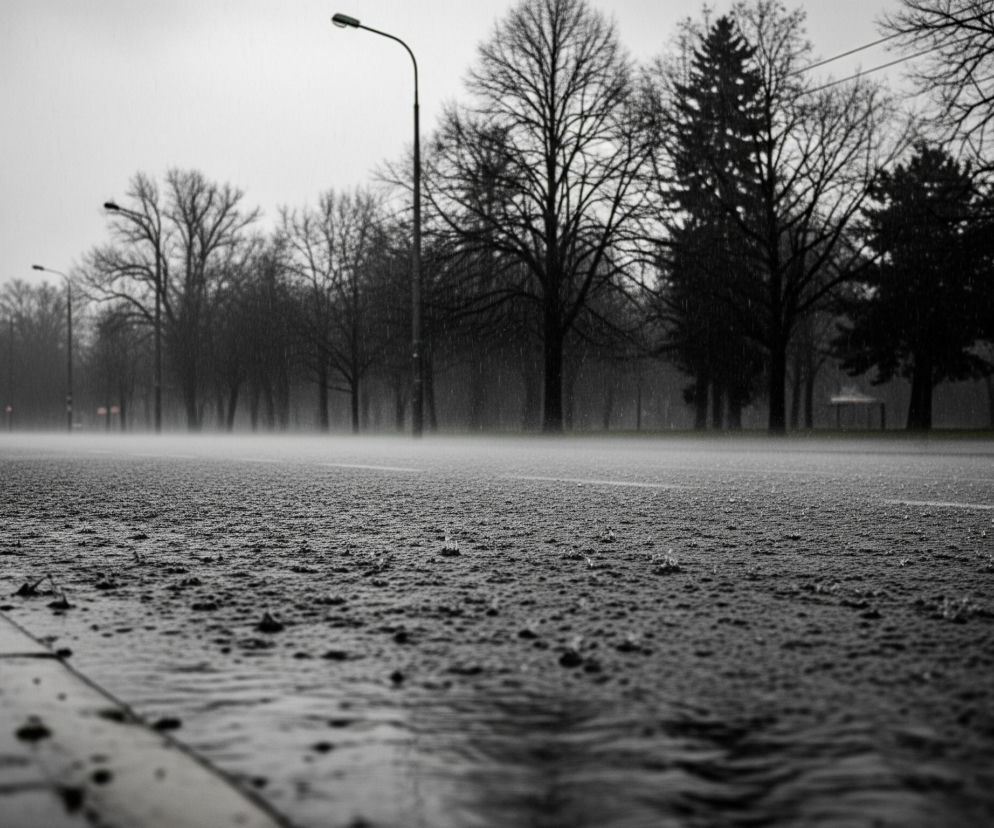 Czarna nawierzchnia ulicy, pokryta licznymi kroplami deszczu odbijającymi światło, zajmuje większą część dolnej połowy kadru, z chodnikiem po lewej stronie. Na pierwszym planie woda płynie w niewielkim strumieniu wzdłuż krawężnika. W tle rozciąga się długa, pusta droga z rzędem bezlistnych drzew i kilku latarni po obu stronach, znikająca w mglistej oddali pod szarym niebem, z którego padają liczne pionowe linie deszczu.