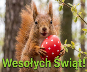 Nowoczesne kartki wielkanocne 2026 – darmowe grafiki