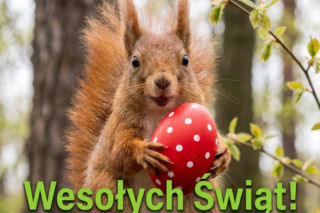 Nowoczesne kartki wielkanocne 2026 – darmowe grafiki