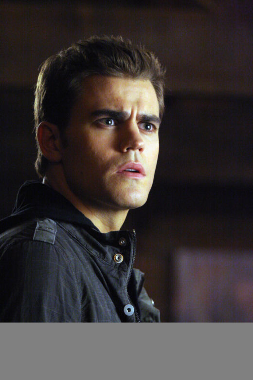 Paul Wesley: Pamiętniki wampirów