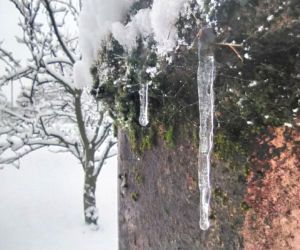 Pierwszy śnieg w regionie tarnowskim