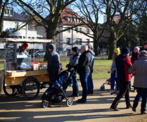 Jasne Błonia w Szczecinie