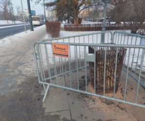 Mróz w Toruniu! Miasto stawia koksowniki na przystankach. Są już w dwudziestu punktach. Czy pomagają? 